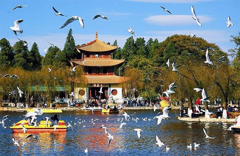 定制旅行管理与服务专业的未来:就业方向大盘点